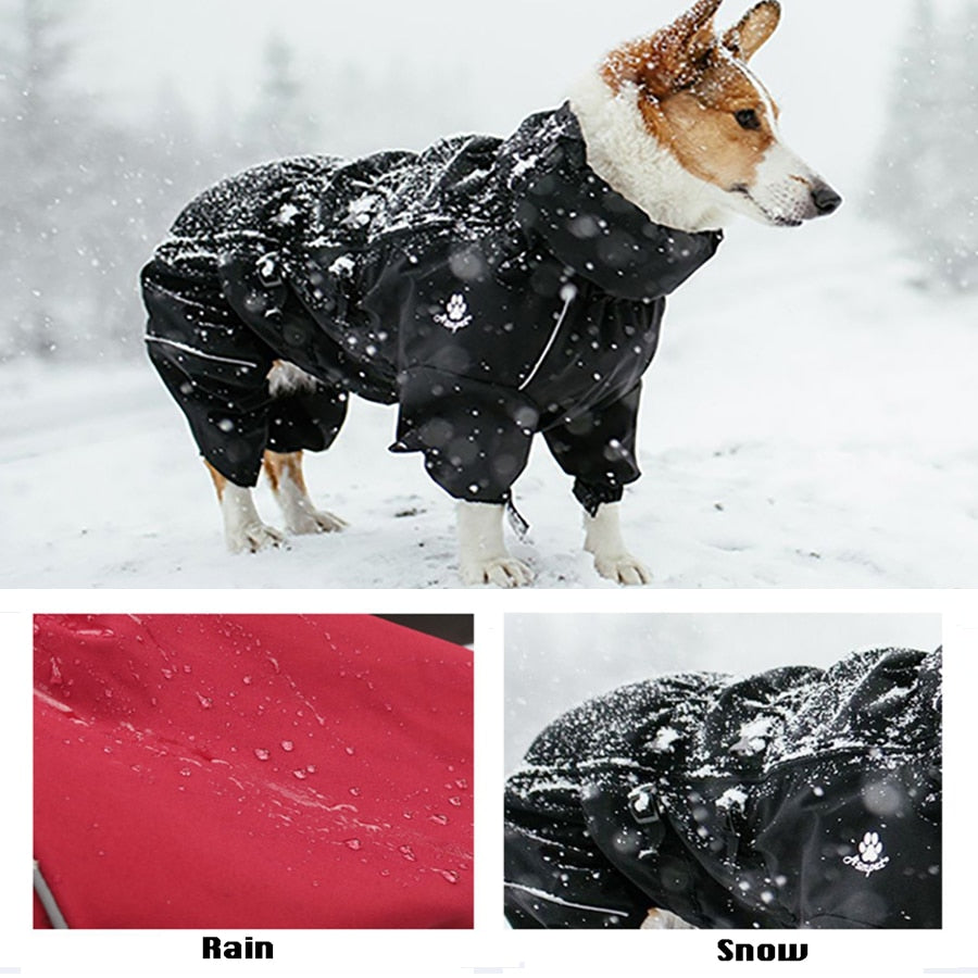 Waterproof Dog Coat