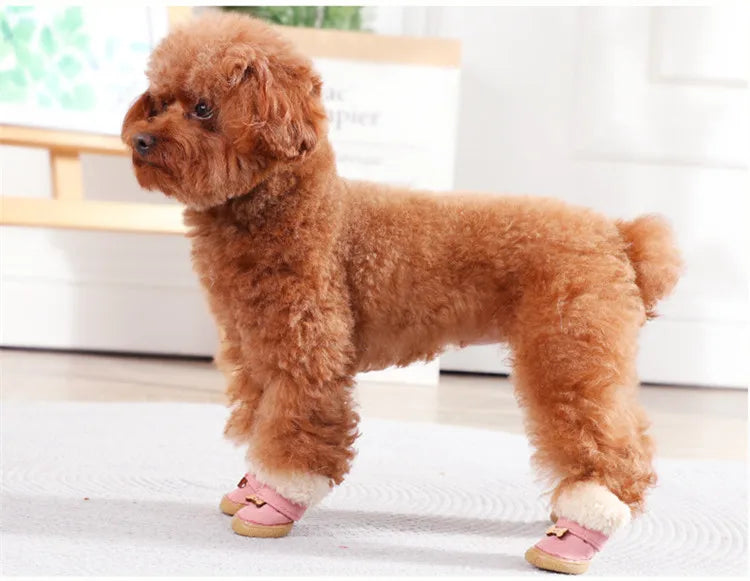 Warm Winter Boots for Small Dogs