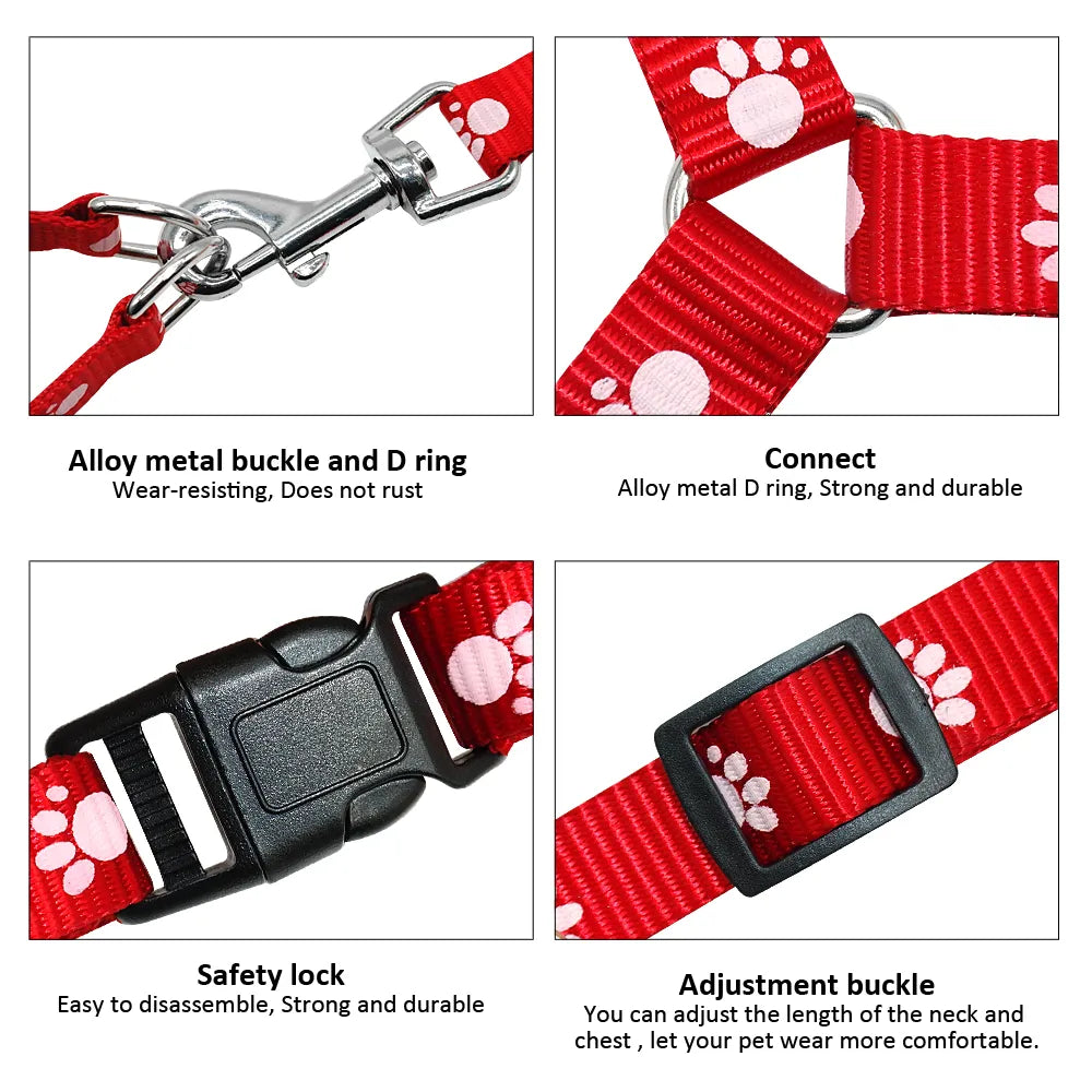 Nylon Dog Harness and Leash Set for Small Medium Dogs