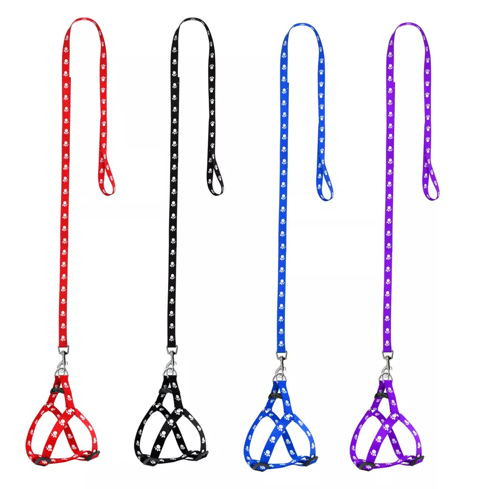 Nylon Dog Harness and Leash Set for Small Medium Dogs