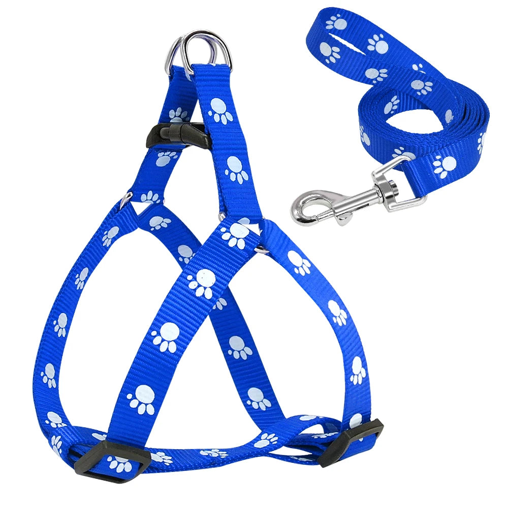 Nylon Dog Harness and Leash Set for Small Medium Dogs