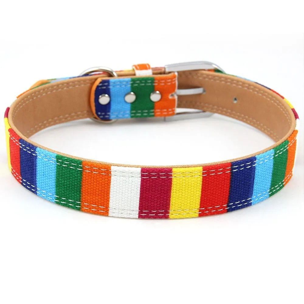 Striped Leather Collar