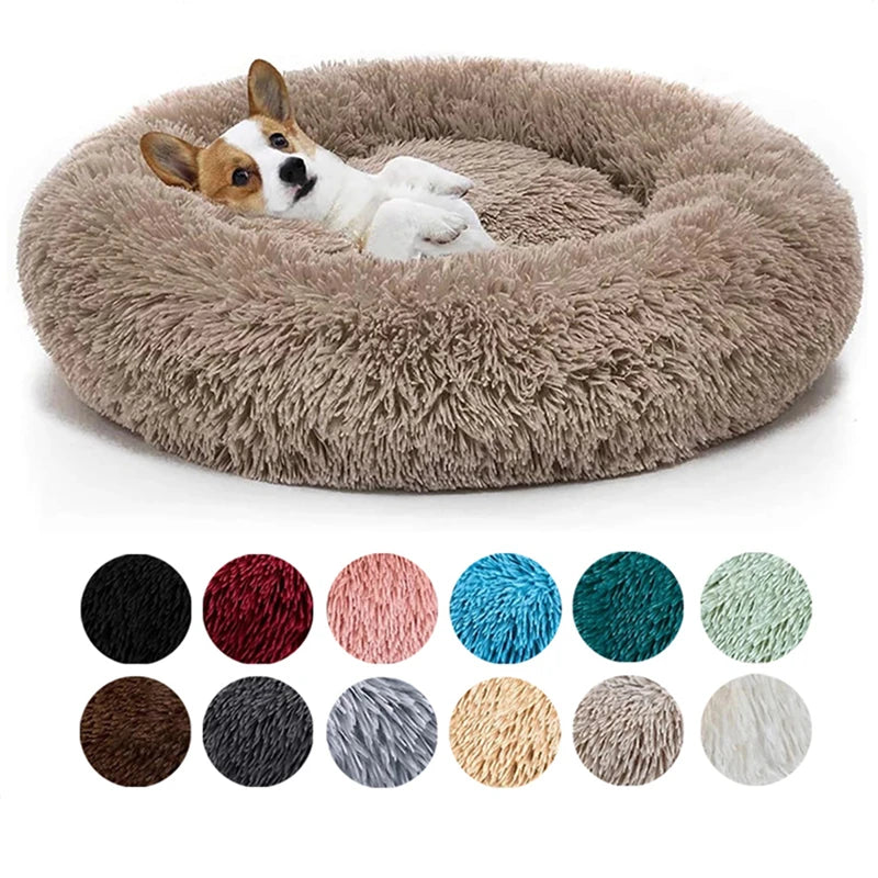Small and Medium VIP Dog Bed