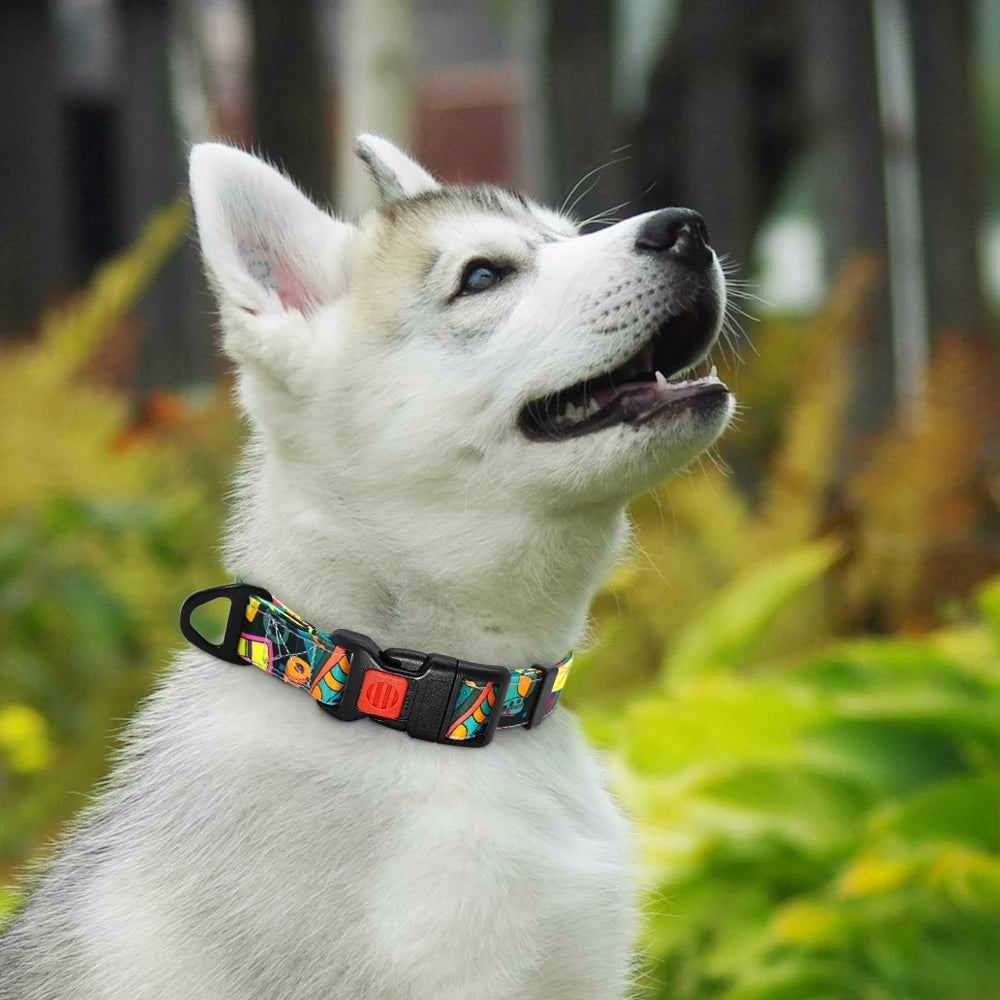 Printed Nylon Dog Collar