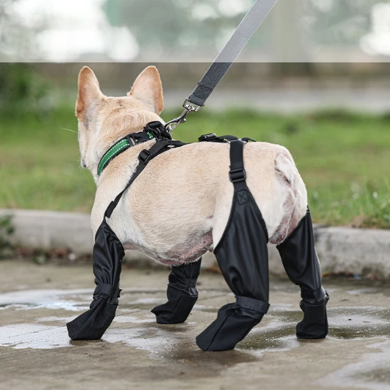 Rain & Snow Booties