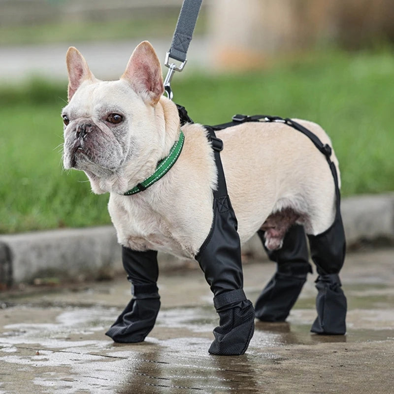 Rain & Snow Booties