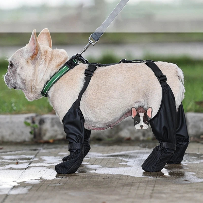 Rain & Snow Booties