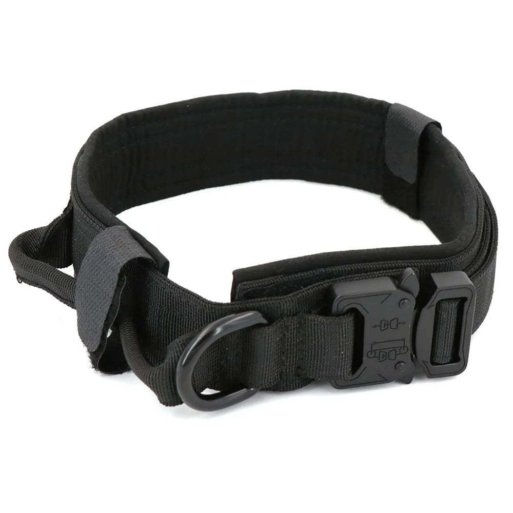 Nylon Dog Collar