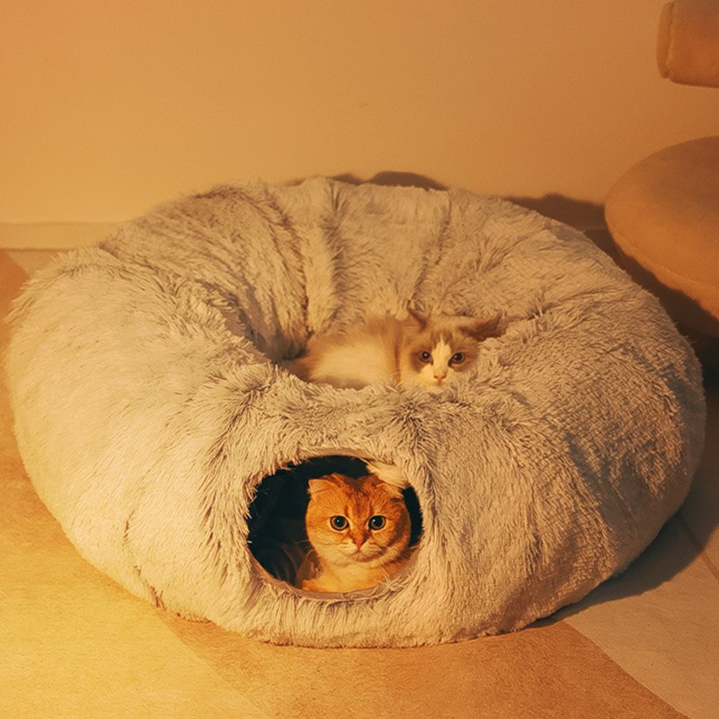 Cat Tunnel and Bed